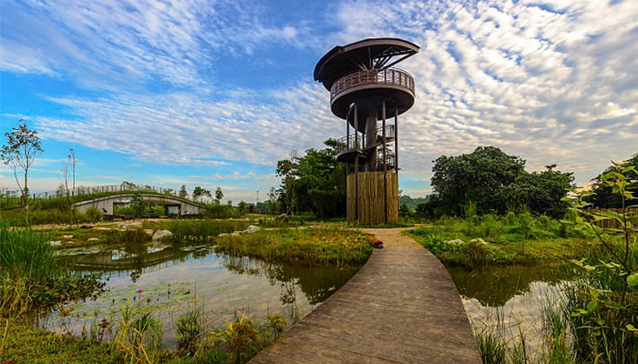 10 Secret Nature Spots In Singapore For A Relaxing Hike The Singapore Women S Weekly