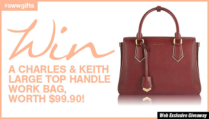 charles and keith work bag