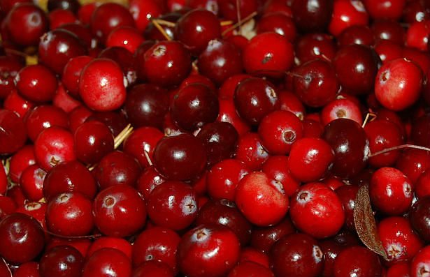 6 Super Benefits Of Cranberries - The Singapore Women's Weekly