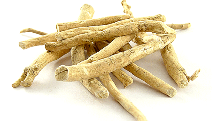 5 different types of ginseng root and their unique benefits the singapore women s weekly 5 different types of ginseng root and