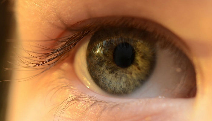 10 Tips To Strengthen Your Eyes Against DIseases - The Singapore Women ...