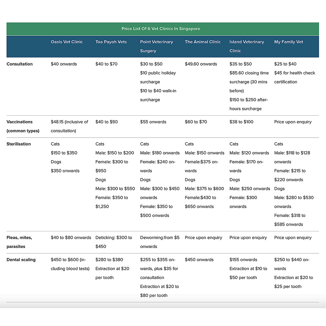 How Much Do Singapore Vet Clinics Charge For Consultations & Treatments?