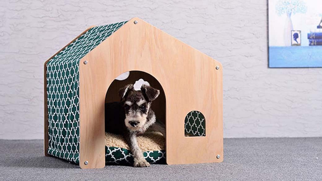 10 Places You Can Buy Creative And Stylish Pet Beds For Your Fur Baby ...