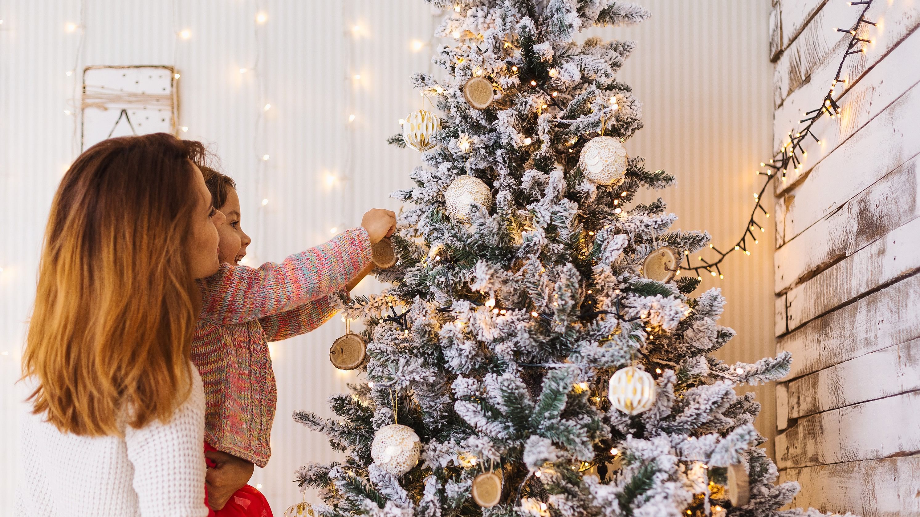 What You Should Know Before Buying A Real Christmas Tree