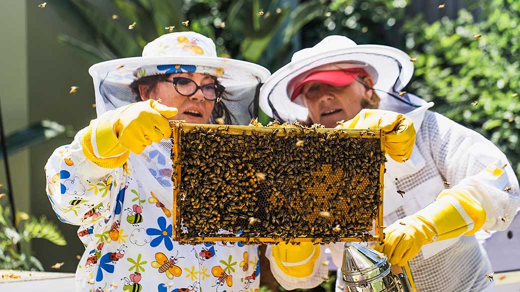Angelina Jolie & Guerlain Have Created A Female Beekeeping Programme