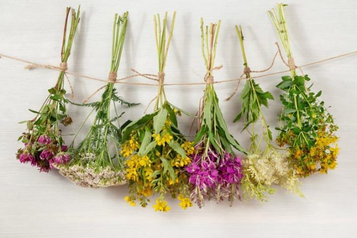 How to Preserve Flowers with Hairspray: 14 Steps (with Pictures)