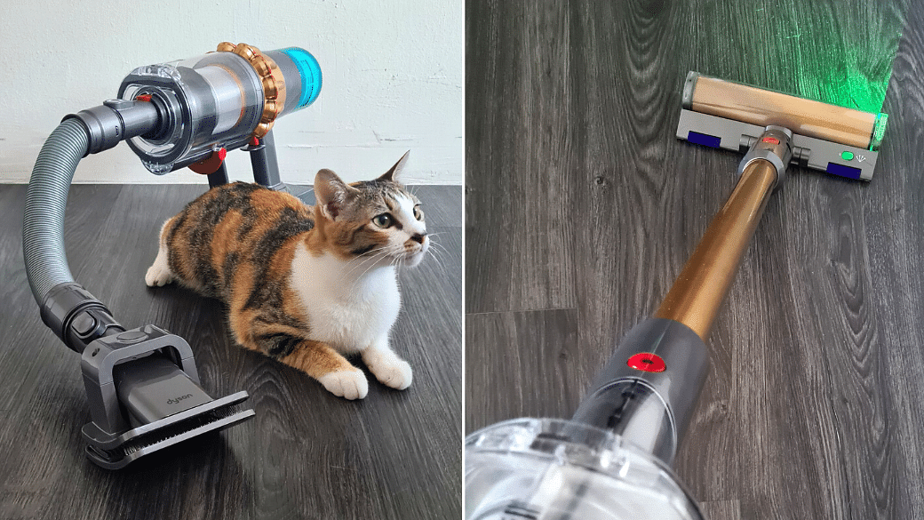 Kriger Forsøg Pelagic Review: I Tried Dyson's Newest V15 Detect Vacuum With A Pet Grooming Kit -  The Singapore Women's Weekly