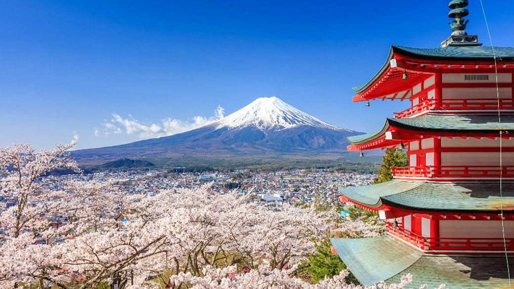 Japan Has Given The Go Ahead For Non-Guided Package Tours