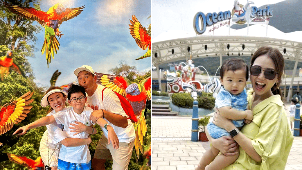 Bird Paradise Outing To Solo Trips: What Local Celebs Did This Week