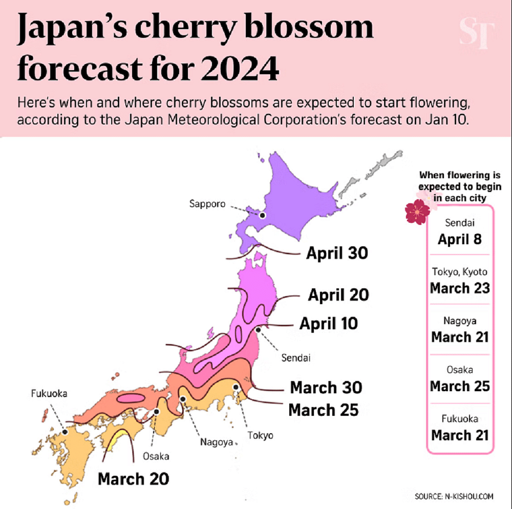 Sakura Forecast 2024 Where To Watch Cherry Blossoms In Japan