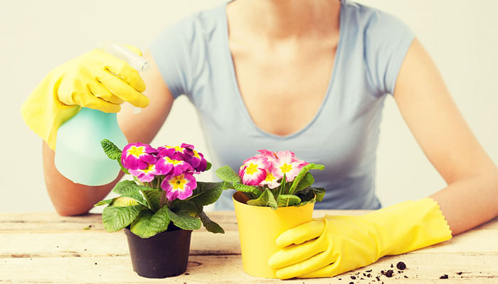 woman watering her potted plants.