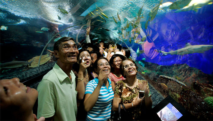 5 Things About Singapore's Underwater World You Forgot About - The ...