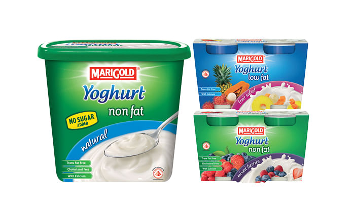 Marigold Yoghurt