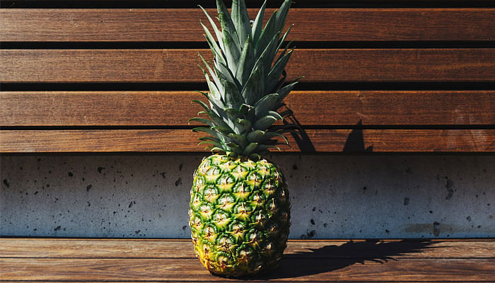 pineapple on a bench