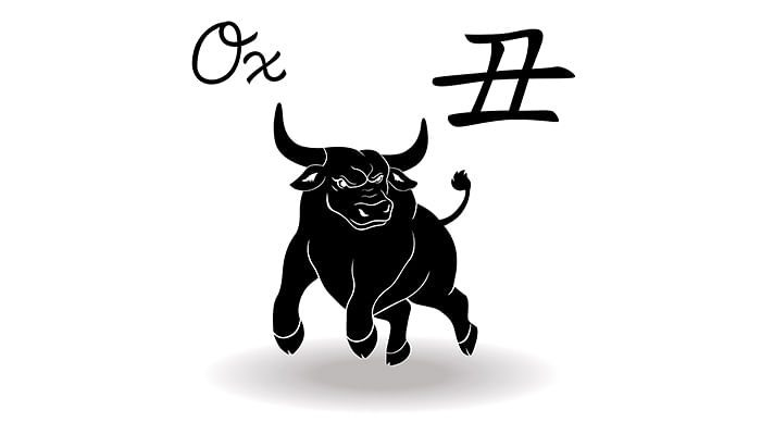 The-Best-Sex-Positions-To-Try-This-Year-Based-On-Your-Chinese-Zodiac_7