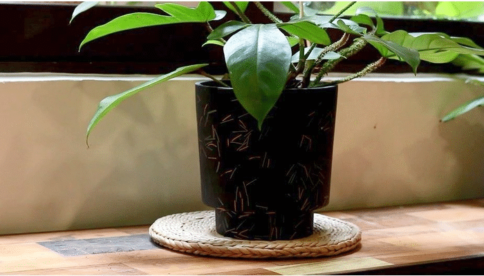 4 Ways to Decorate With Trendy Pottery & Indoor Plants